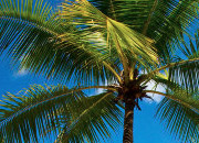 电话轰在线轰炸平台自助下单